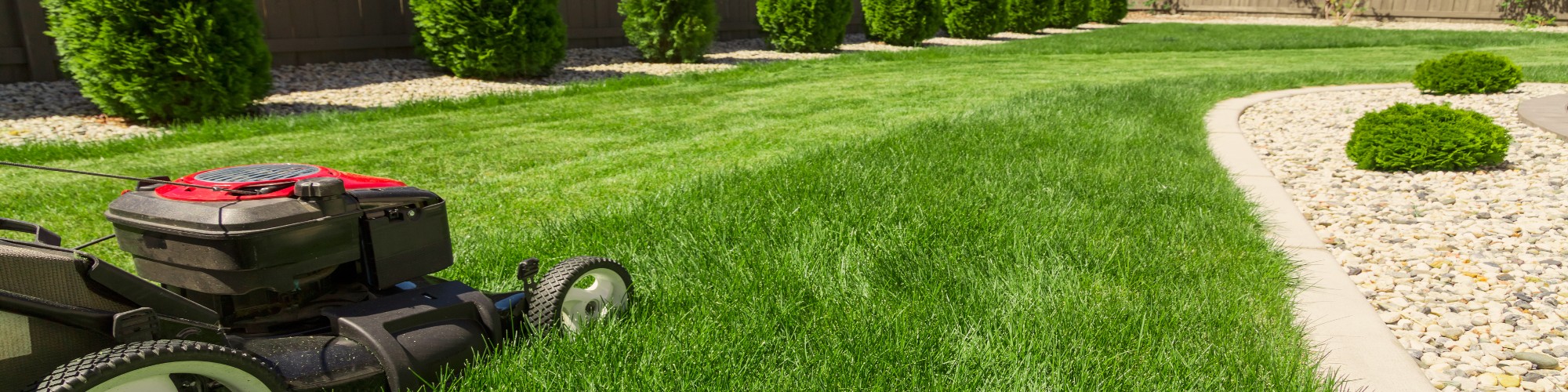 Green Means Gorgeous with Lawn Care in Kent from the Experts